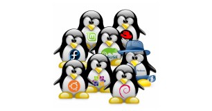 linux-dianomes-1200