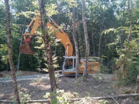 11752477_829129067202999_3568016065157268205_n