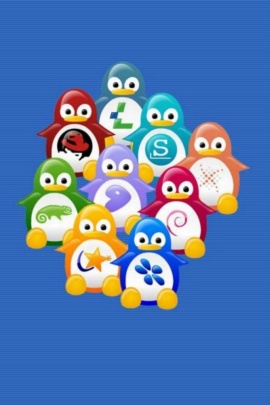 linux_kids_wallpapers_tux_little_wallpapers-t2