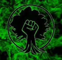 ba93c54710947d1f7acb586420d108e6--punk